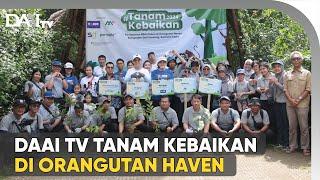 DAAI TV Tanam Kebaikan di Orangutan Haven 2024