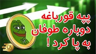 میم کوین جدید پپه قورباغه سر به فلک کشید!