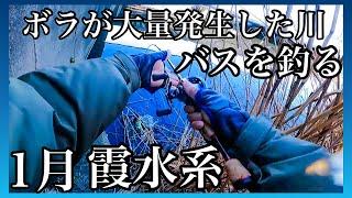 1月　霞水系】ボラが大量発生した川でバス釣りしてみた！