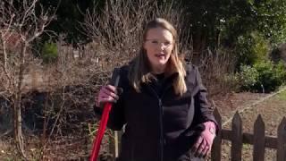 Oklahoma Gardening Episode #4634 (02/22/20)