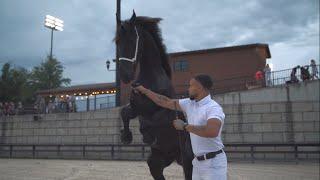 Our STALLION Presentation at the TIEC