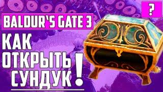 КАК ОТКРЫТЬ ЗОЛОЧЕНЫЙ СУНДУК В ГНЕЗДЕ МЕДВЕСЫЧА ▶ Baldur's Gate 3 ▶ СЕЛУНИТ, ШЭДОУХАРТ, ШАР ▶ СЕКРЕТ