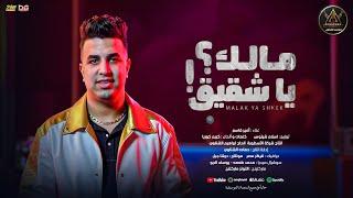 اغنية مالك يا شقيق ( مالك يا خفيف ) امير قاسم جديد - انتاج الاسطورة ابراهيم الشناوى | 2025