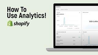 How to use Shopify Analytics [easy]