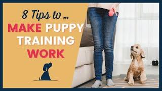 Puppy Training for Beginners