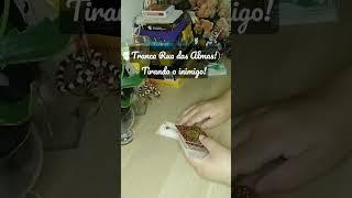#baralhocigano #shorts #trancaruadasalmas