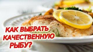 Как выбрать качественную рыбу? Советы экспертов