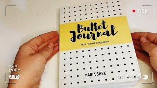 Обзор ежедневника. Листаю готовый Bullet Journal от Maria Shek