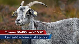 FINALES TESTMUSTER! Tamron 50-400 mm Di III VC VXD im Test [Deutsch]