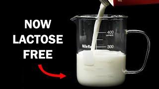 Making milk lactose free