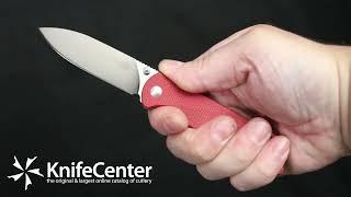 QSP Knives Parrot V2 Liner Lock Folding Knife