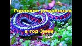 Гороскоп рождённых в год Змеи !