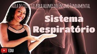 Aula:Sistema Respiratório