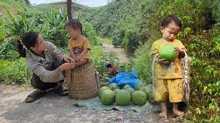 Single mother, 17 years old picking grapefruit to sell, Ly Tieu Anh