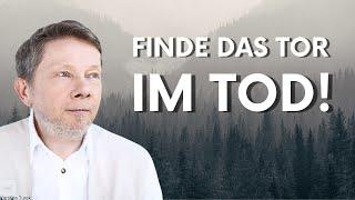 Tod ist nicht das Gegenteil von Leben! Eckhart Tolle deutsch