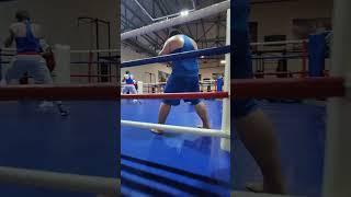 БойцыЧечня #чечня #грозный #шали #бокс #boxing #sports
