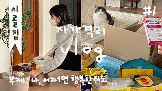 설날에 고창 전원주택에서 자가격리한 이야기 / 화연씨네 시골집 vlog