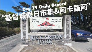 紐西蘭南島自駕墨爾本懷舊之旅DAY17 基督城假日市集 近郊美景小鎮阿卡羅阿 紐西蘭的最後一天 每日精彩片段搶先看 #紐西蘭 #sundaymarket #akaroa