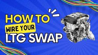 How to Wire Your LTG Swap the Easy Way