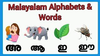 Malayalam alphabets and words with pictures/malayalam swaraksharangal words/malayalam letters words