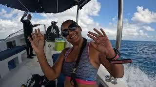 Scuba Diving in Mauritius