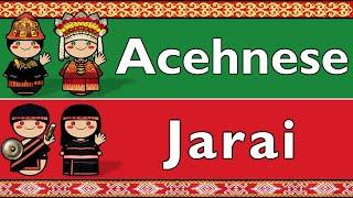 CHAMIC: ACEH & JARAI