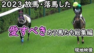 【競馬】2023 放馬・落馬した愛すべきカラ馬たち総集編 現地映像