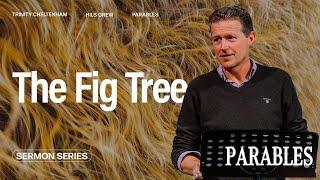 Parables: The Fig Tree - Tim Grew