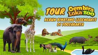 TOUR GEMBIRA LOKA ZOO Terbaru 2023 | Kebun Binatang Legendaris Di Yogyakarta