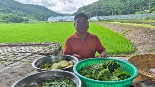 라이브방송 각종 전 부쳐 먹어요