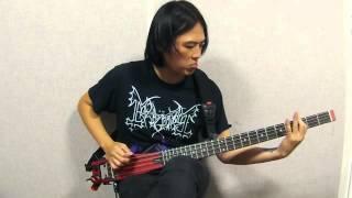 Anygig AGB Bass guitar Model