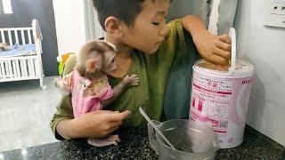 Binh takes care of baby monkey Mon while his mother and Kobi are away