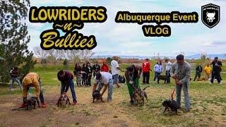 LOWRIDERS N BULLIES - Albuquerque AMERICAN BULLY Event | BIG TYME VLOGZ