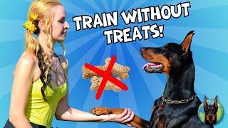 Getting a Doberman to Respond Every Time (Even Without Treats)