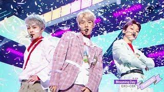 첸백시(EXO-CBX) - '花요일 (Blooming Day)' All Stage mix 교차편집