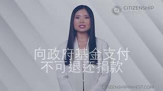 如何通过投资项目申请圣基茨公民身份？