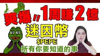 1 週造就上億富豪！$ PEPE 迷因幣總整理！你只需要看這一支！