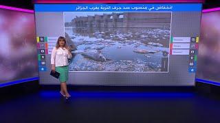 هل تسبب المغرب في انحسار مياه سد "جرف التربة" الجزائري ونفوق أسماكه؟