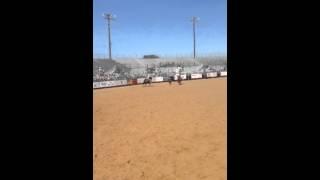 Bronc ponies ride rodeo Garrett Morrow