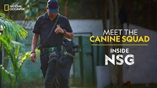 Meet the Canine Squad | Inside NSG | National Geographic