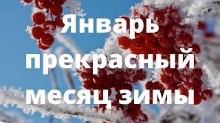 Январь - прекрасный месяц зимы !#топ #застольныепесни #песнидлядуши #застольные #рекомендованные