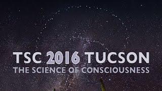 The Science of Consciousness Conference (TSC) 2016