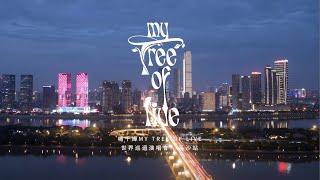 楊千嬅 MY TREE OF LIVE世界巡迴演唱會 第25站長沙 回顧