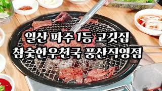 일산 애니골 맛집 참숯한우천국 풍산직영점