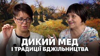 Святі бджоли і заговорені вулики: все про традиційне бортництво, пасічництво, бджолярство в Україні