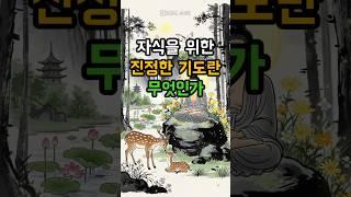 자식을 위한 기도는 이렇게 하라 #부처님말씀 #불교명언 #불교#자식기도