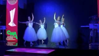 Al Hana Events - L.E.D Ballet