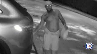 Videos show burglars in Miami's Coconut Grove