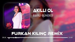 Ebru Gündeş - Akıllı Ol  ( Furkan Kılınç Remix )