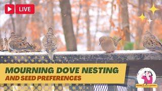 Mourning Dove Nesting and Seed Preferences